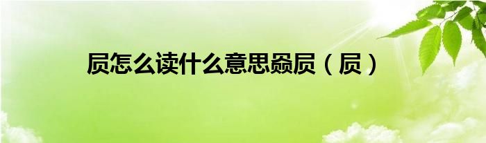 屃怎么读什么意思赑屃（屃）