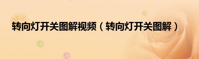 转向灯开关图解视频（转向灯开关图解）
