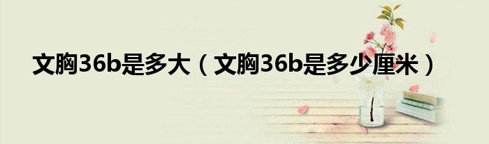 文胸36b是多大（文胸36b是多少厘米）