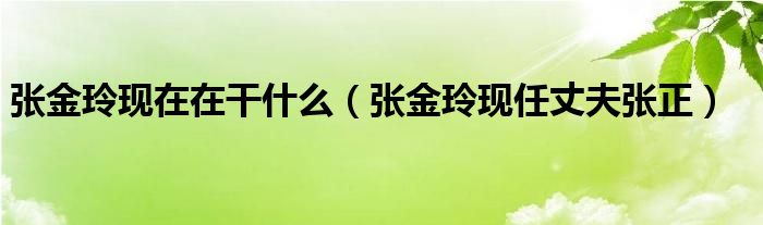 张金玲现在在干什么（张金玲现任丈夫张正）