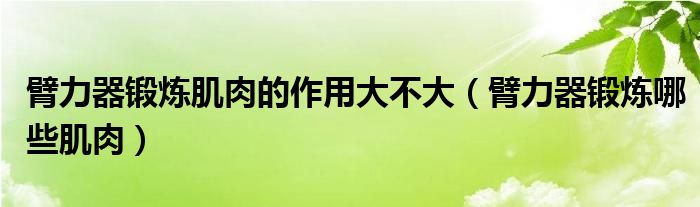 臂力器锻炼肌肉的作用大不大（臂力器锻炼哪些肌肉）