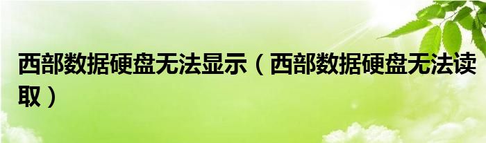 西部数据硬盘无法显示（西部数据硬盘无法读取）