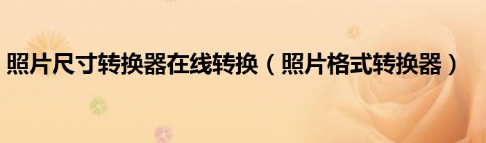 照片尺寸转换器在线转换（照片格式转换器）