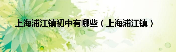 上海浦江镇初中有哪些（上海浦江镇）