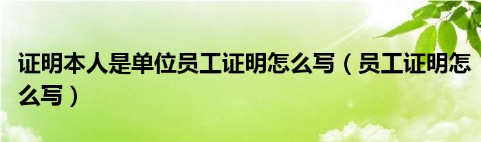 证明本人是单位员工证明怎么写（员工证明怎么写）