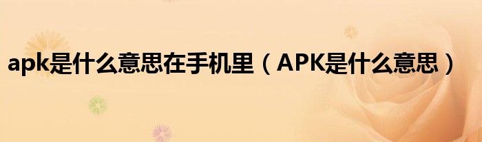 apk是什么意思在手机里（APK是什么意思）
