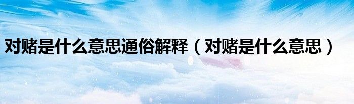 对赌是什么意思通俗解释（对赌是什么意思）