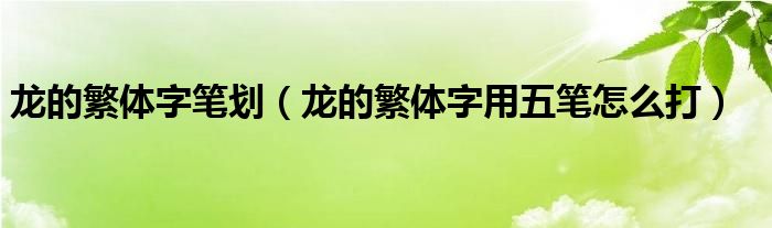 龙的繁体字笔划（龙的繁体字用五笔怎么打）