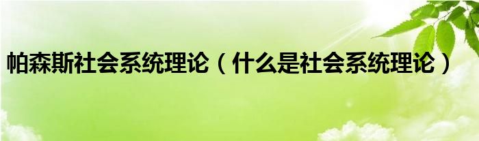 帕森斯社会系统理论（什么是社会系统理论）