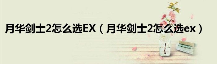 月华剑士2怎么选EX（月华剑士2怎么选ex）