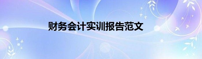 财务会计实训报告范文