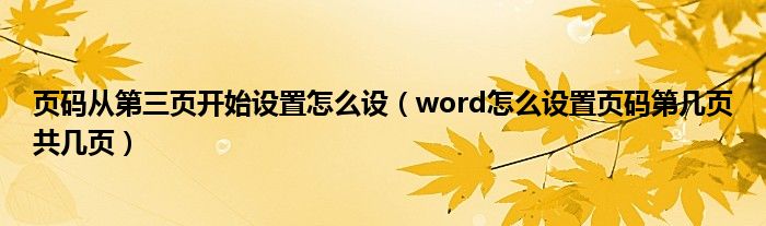 页码从第三页开始设置怎么设（word怎么设置页码第几页共几页）