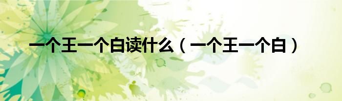 一个王一个白读什么（一个王一个白）