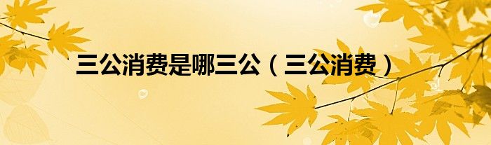 三公消费是哪三公（三公消费）