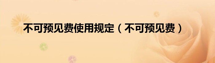 不可预见费使用规定（不可预见费）
