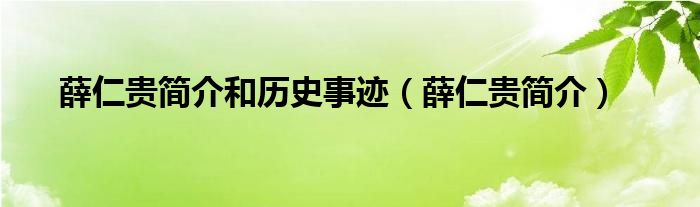 薛仁贵简介和历史事迹（薛仁贵简介）