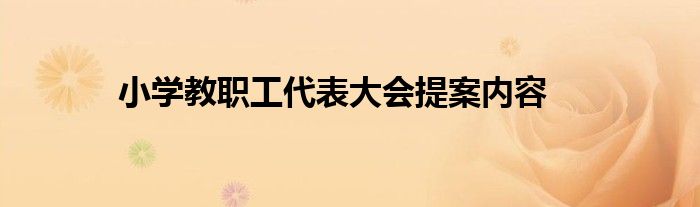 小学教职工代表大会提案内容