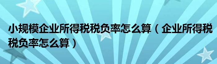 小规模企业所得税税负率怎么算（企业所得税税负率怎么算）