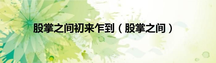 股掌之间初来乍到（股掌之间）
