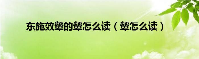 东施效颦的颦怎么读（颦怎么读）