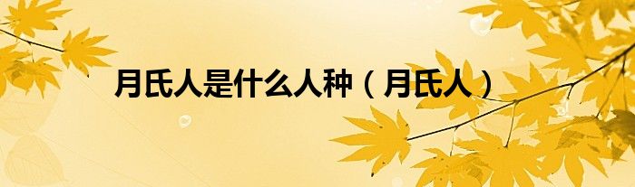 月氏人是什么人种（月氏人）