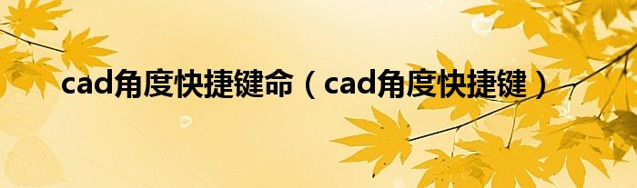 cad角度快捷键命（cad角度快捷键）
