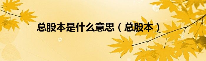 总股本是什么意思（总股本）