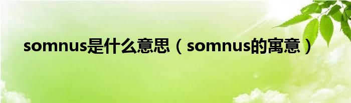 somnus是什么意思（somnus的寓意）