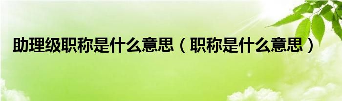 助理级职称是什么意思（职称是什么意思）