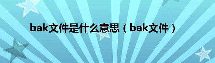 bak文件是什么意思（bak文件）
