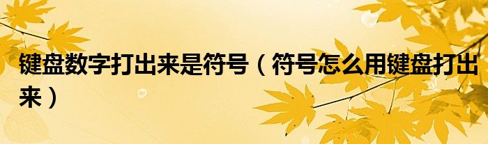 键盘数字打出来是符号（符号怎么用键盘打出来）