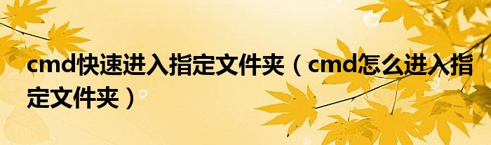 cmd快速进入指定文件夹（cmd怎么进入指定文件夹）