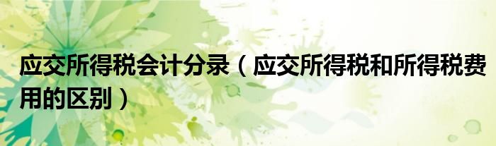 应交所得税会计分录（应交所得税和所得税费用的区别）