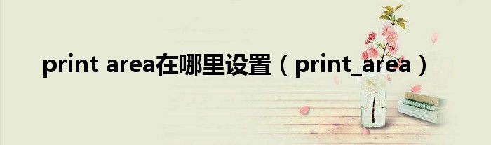 print area在哪里设置（print