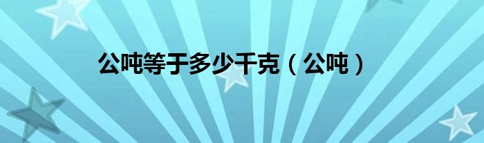 公吨等于多少千克（公吨）