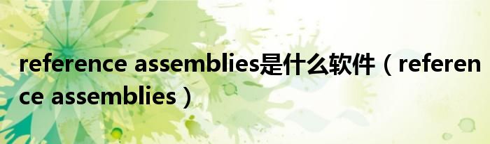 reference assemblies是什么软件（reference assemblies）