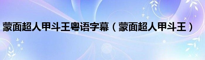 蒙面超人甲斗王粤语字幕（蒙面超人甲斗王）