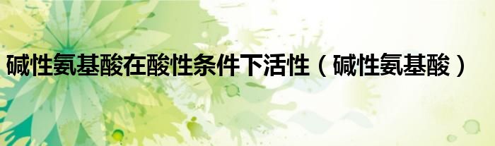 碱性氨基酸在酸性条件下活性（碱性氨基酸）