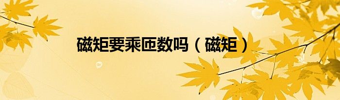 磁矩要乘匝数吗（磁矩）