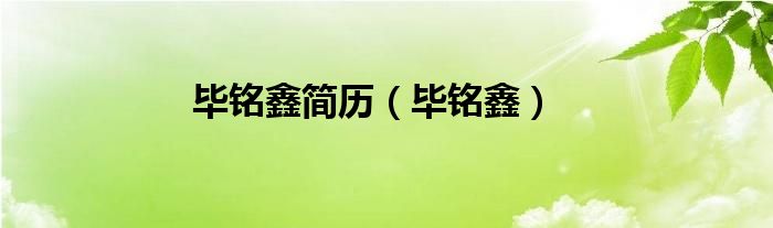 毕铭鑫简历（毕铭鑫）