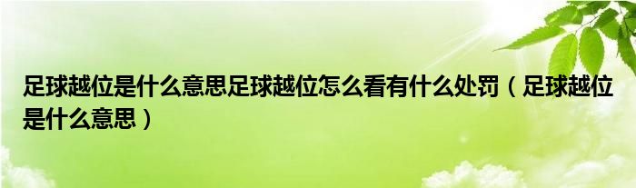 足球越位是什么意思足球越位怎么看有什么处罚（足球越位是什么意思）