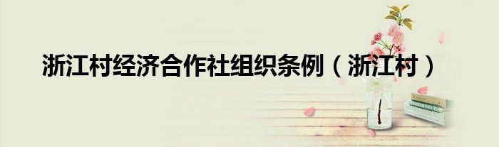 浙江村经济合作社组织条例（浙江村）
