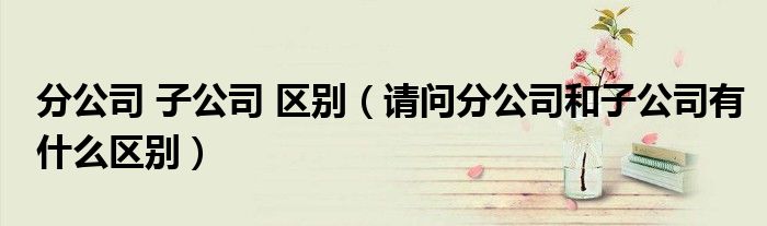 分公司 子公司 区别（请问分公司和子公司有什么区别）