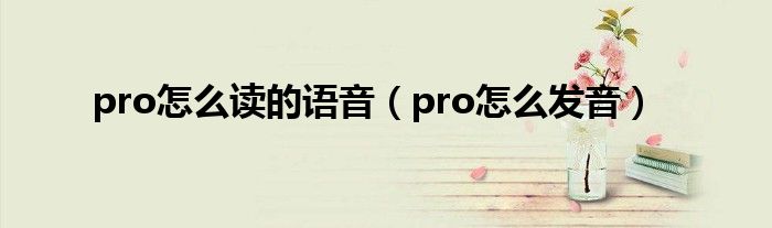 pro怎么读的语音（pro怎么发音）