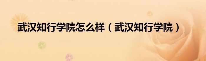 武汉知行学院怎么样（武汉知行学院）