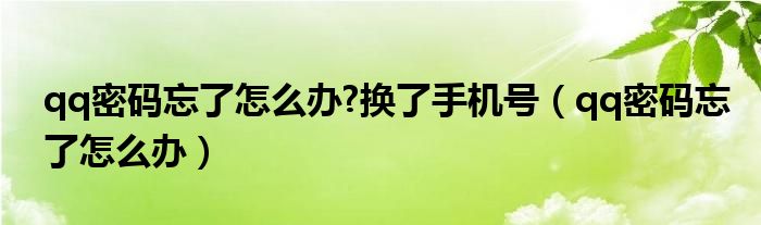 qq密码忘了怎么办?换了手机号（qq密码忘了怎么办）