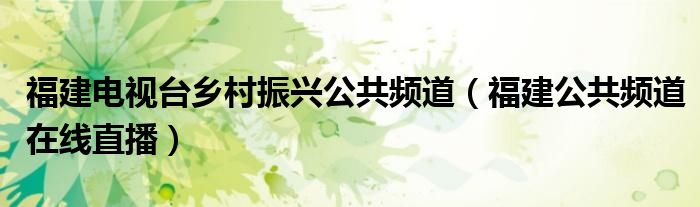 福建电视台乡村振兴公共频道（福建公共频道在线直播）