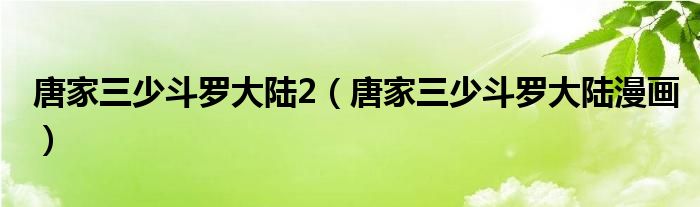 唐家三少斗罗大陆2（唐家三少斗罗大陆漫画）