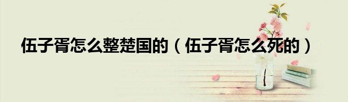 伍子胥怎么整楚国的（伍子胥怎么死的）