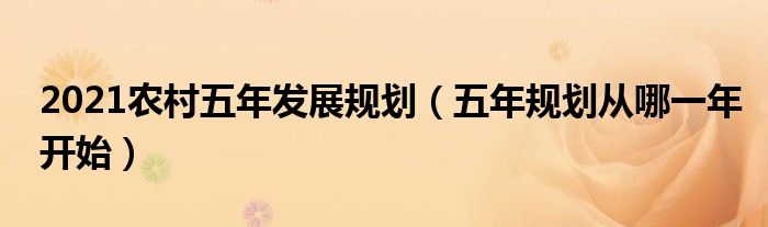 2021农村五年发展规划（五年规划从哪一年开始）